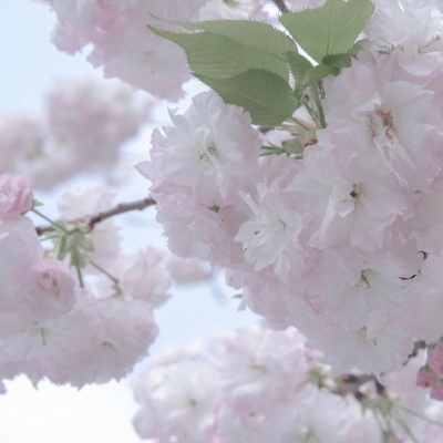 路北FurryQQ群介绍